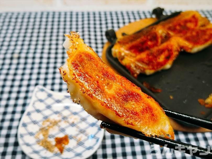 ホットサンドメーカーで焼いた冷凍餃子をマキシマムで食べる
