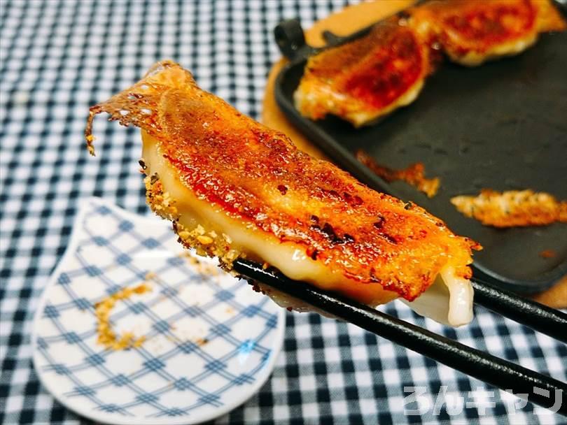 ホットサンドメーカーで焼いた冷凍餃子をほりにしで食べる