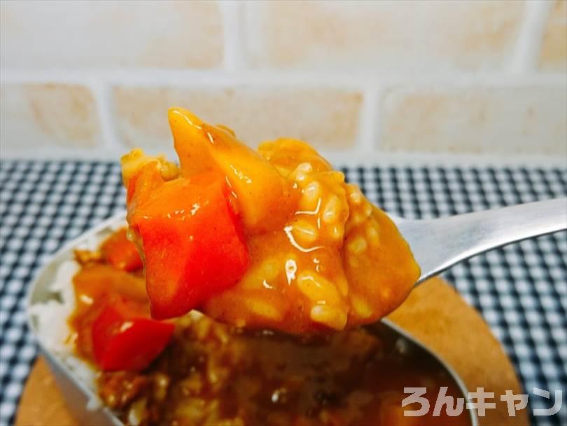 おうちキャンプでST-310でメスティン炊飯をしてカレーを食べる