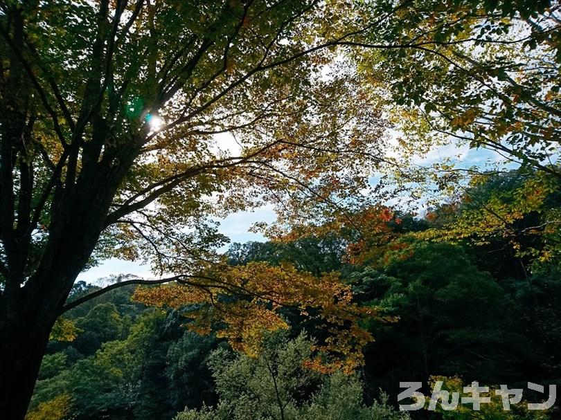 10月下旬に初心者がソロキャンプでお泊り