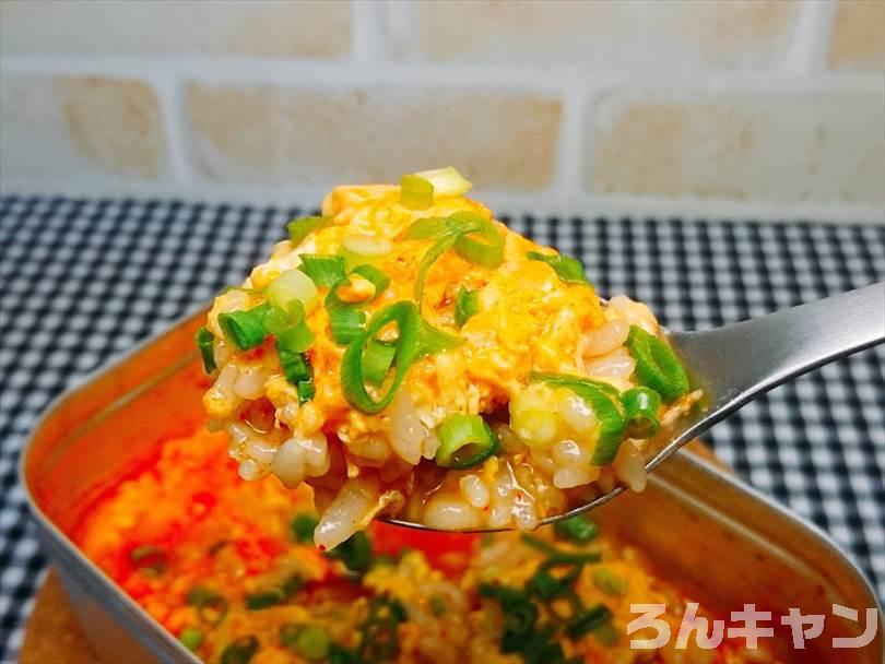 【簡単キャンプ飯】白菜を使ったおすすめレシピまとめ｜美味しい料理で笑顔になる