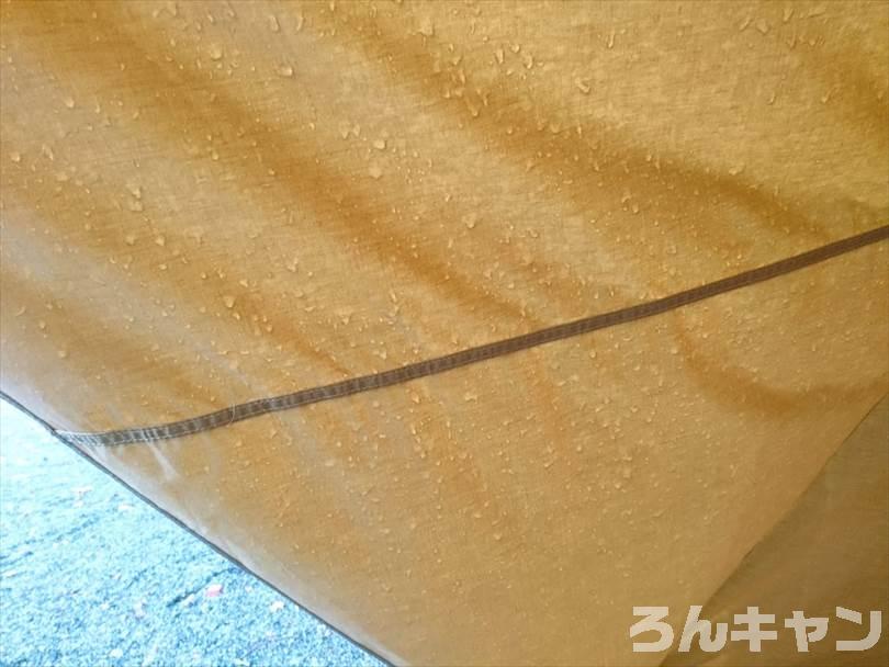 【検証】サーカスTC DXは雨キャンプで浸水や雨漏りをするか？