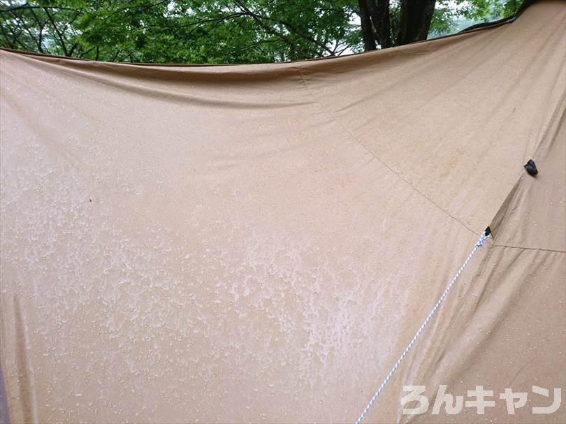 【検証】サーカスTC DXは雨キャンプで浸水や雨漏りをするか？