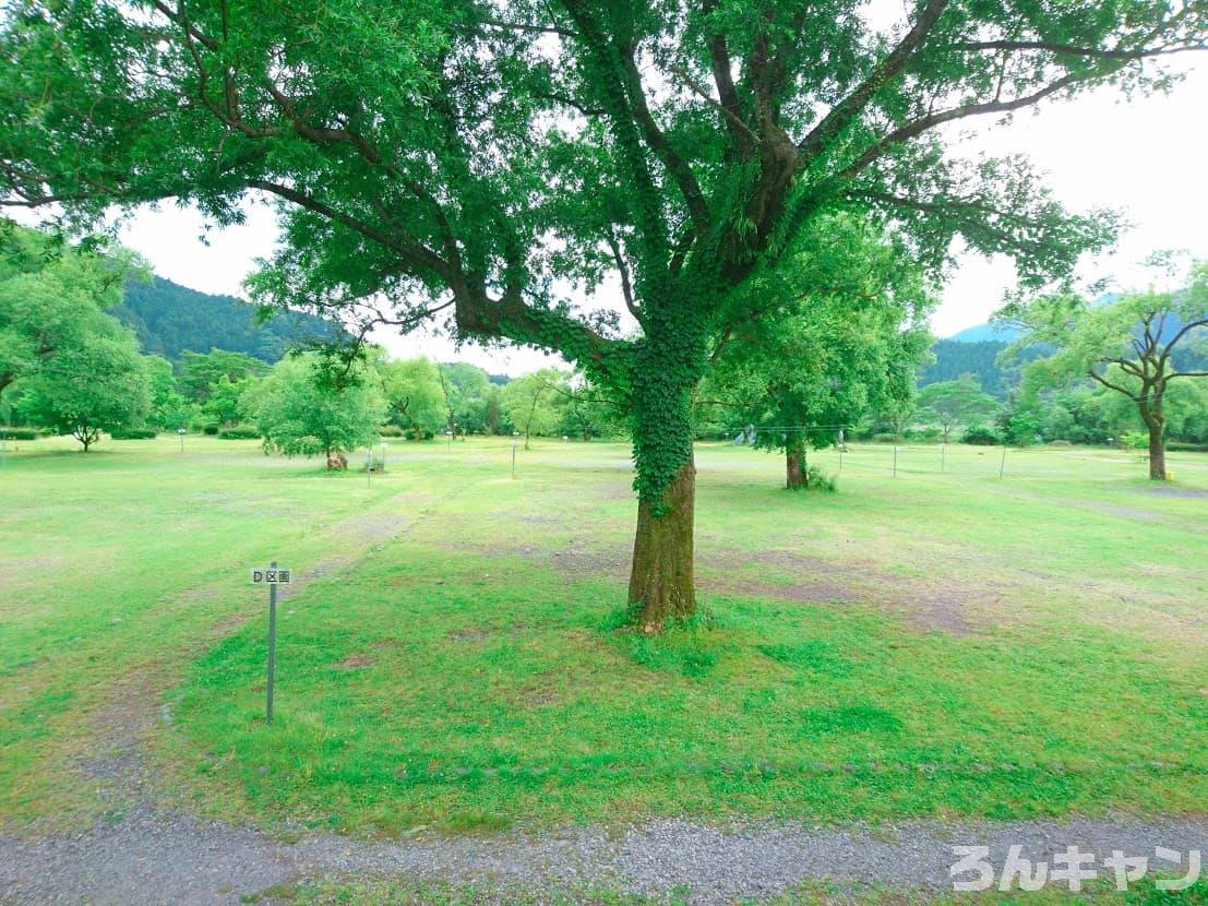 くのわき親水公園キャンプ場