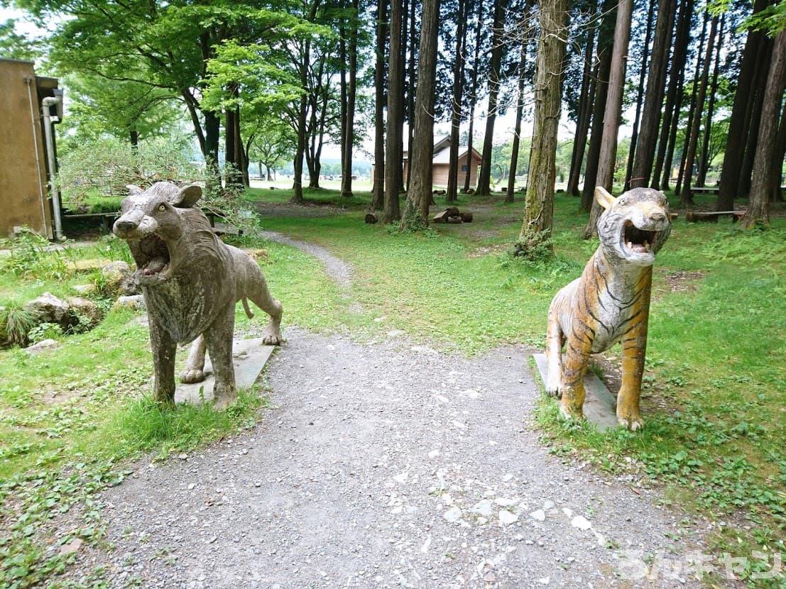 静岡県のおすすめキャンプ場まとめ｜安い・絶景・楽しい・見どころいっぱい