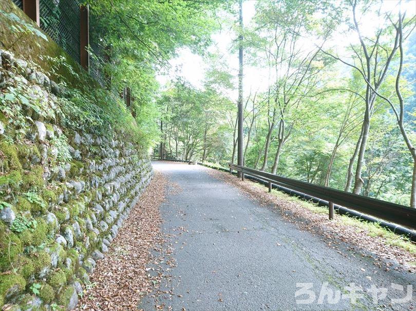 【ゆるキャン△聖地巡礼】夢のつり橋・寸又峡温泉「ほぉおー川の色きれーっ」（11巻・62話）