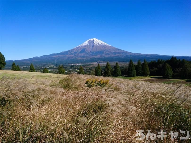 【リアルな写真レポ】富士山が見えるおすすめのキャンプ場まとめ｜四季折々の美しさが楽しめる