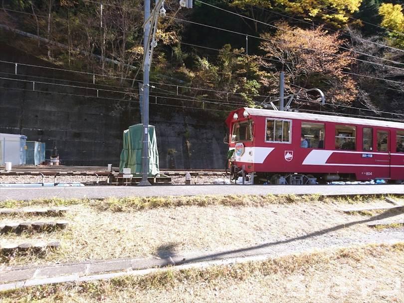 静岡県のおすすめキャンプ場まとめ｜安い・絶景・楽しい・見どころいっぱい