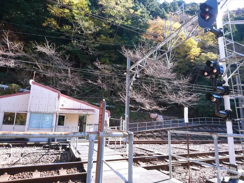 【ゆるキャン△聖地巡礼】アプトいちしろキャンプ場「薪準備よーし！」（11巻・第60～61話）｜実際の雰囲気をブログでご紹介