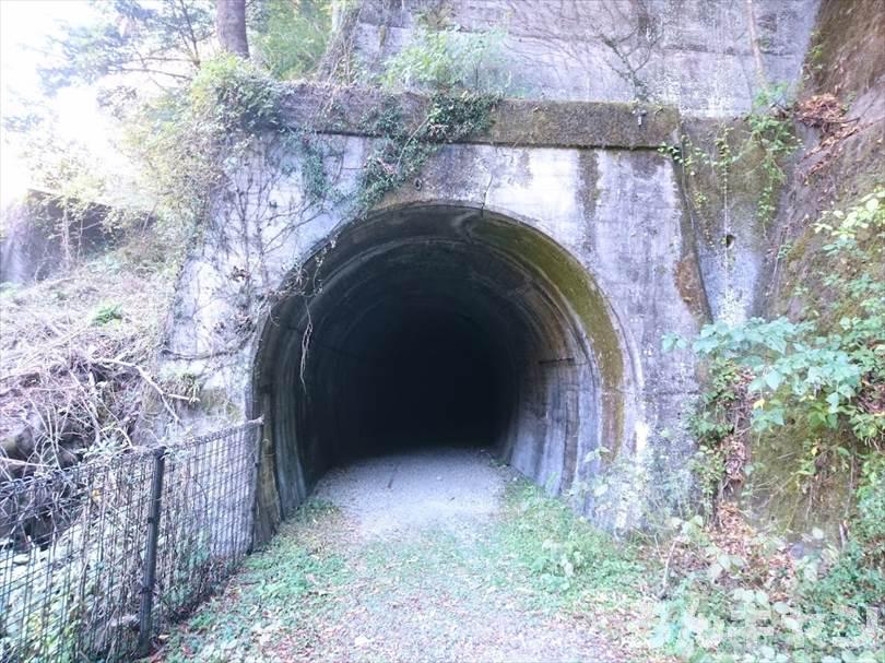 静岡県のおすすめキャンプ場まとめ｜安い・絶景・楽しい・見どころいっぱい