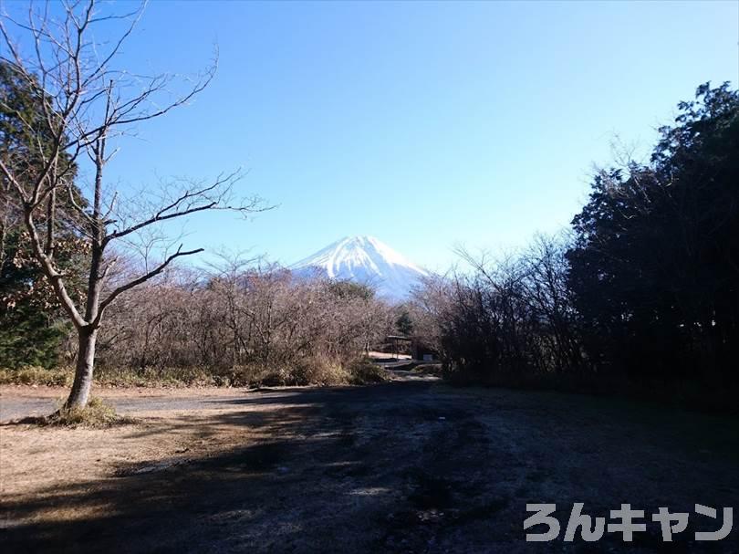 【12月平日の写真レポ】朝霧ジャンボリーオートキャンプ場｜全サイトの雰囲気をブログでご紹介