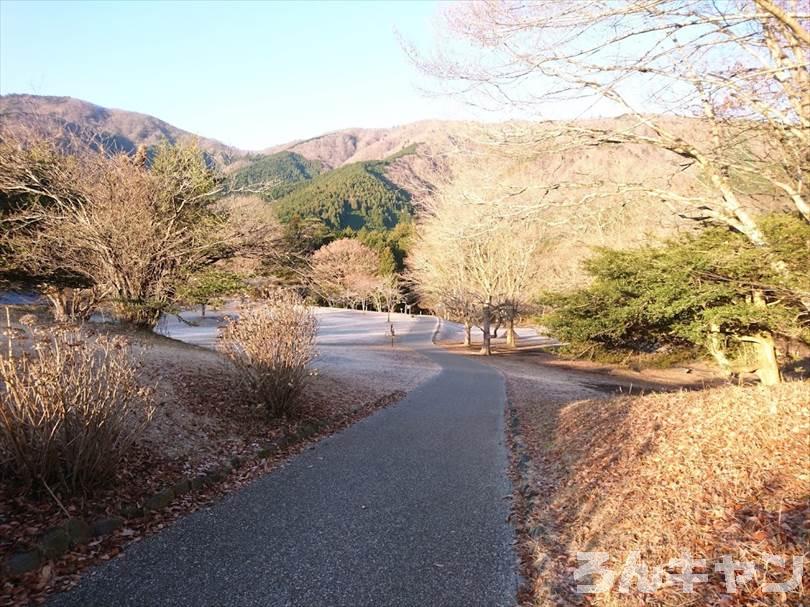 【冬の湖畔】田貫湖キャンプ場から見える絶景の富士山｜A・Bサイトの雰囲気をブログでご紹介