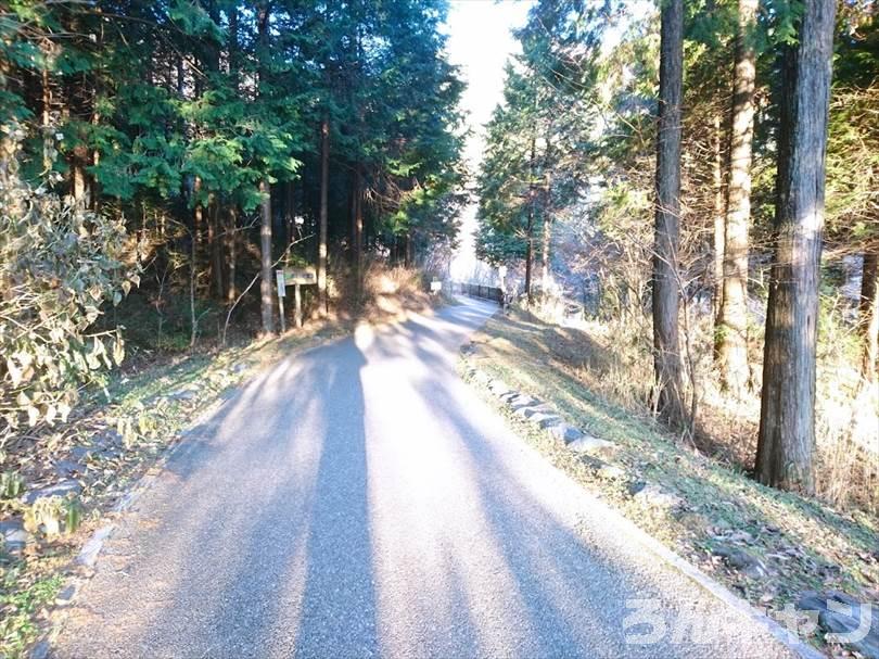 【冬の湖畔】田貫湖キャンプ場から見える絶景の富士山｜A・Bサイトの雰囲気をブログでご紹介