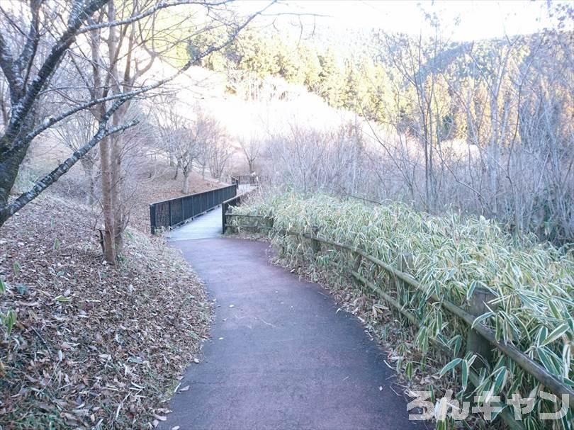 【冬の湖畔】田貫湖キャンプ場から見える絶景の富士山｜A・Bサイトの雰囲気をブログでご紹介