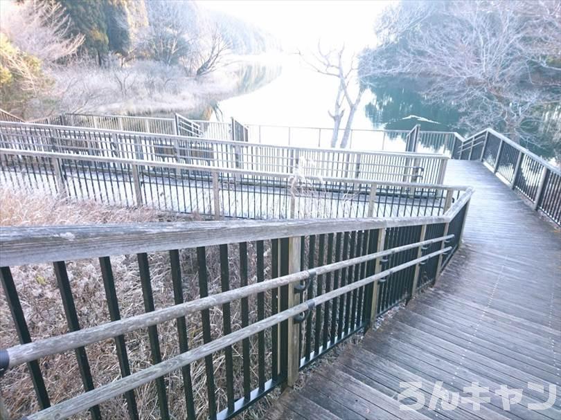 【冬の湖畔】田貫湖キャンプ場から見える絶景の富士山｜A・Bサイトの雰囲気をブログでご紹介