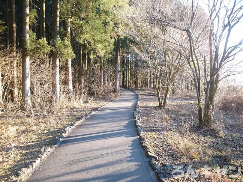 【冬の湖畔】田貫湖キャンプ場から見える絶景の富士山｜A・Bサイトの雰囲気をブログでご紹介