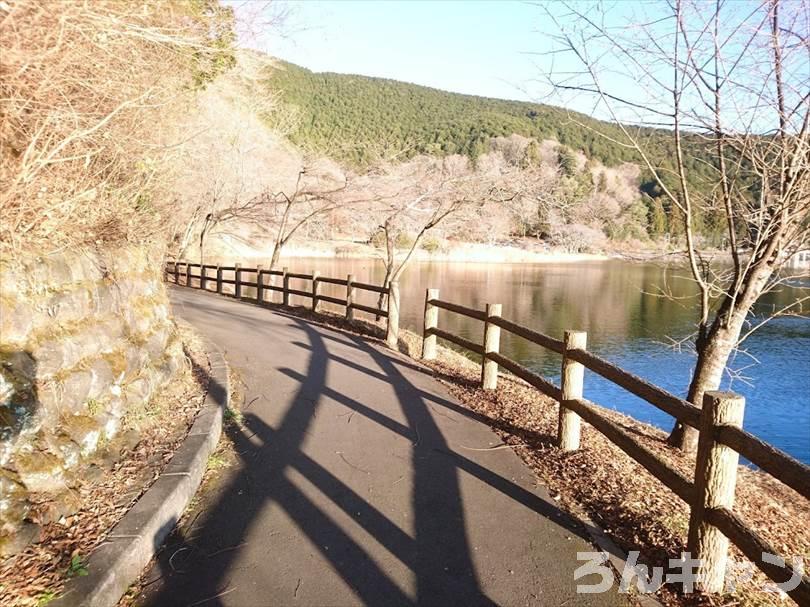 【冬の湖畔】田貫湖キャンプ場から見える絶景の富士山｜A・Bサイトの雰囲気をブログでご紹介