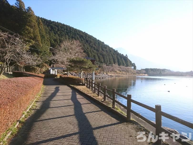 【冬の湖畔】田貫湖キャンプ場から見える絶景の富士山｜A・Bサイトの雰囲気をブログでご紹介