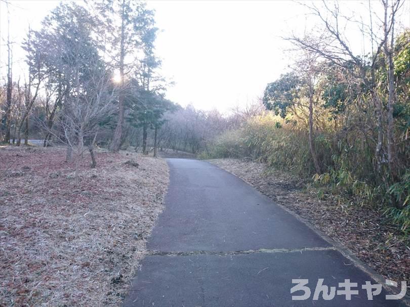 【冬の湖畔】田貫湖キャンプ場から見える絶景の富士山｜A・Bサイトの雰囲気をブログでご紹介