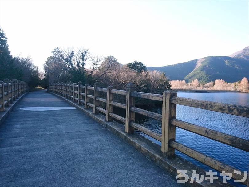 【冬の湖畔】田貫湖キャンプ場から見える絶景の富士山｜A・Bサイトの雰囲気をブログでご紹介