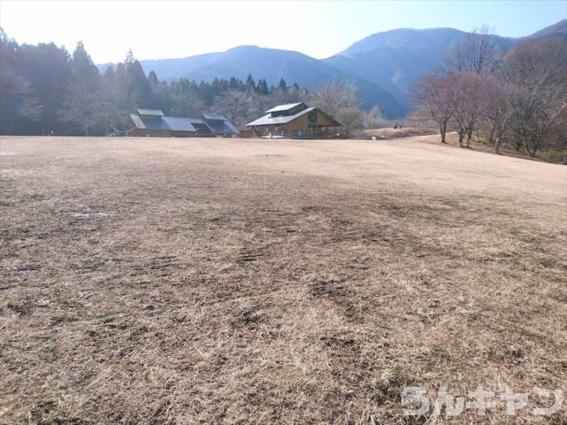 【冬の湖畔】田貫湖キャンプ場から見える絶景の富士山｜A・Bサイトの雰囲気をブログでご紹介