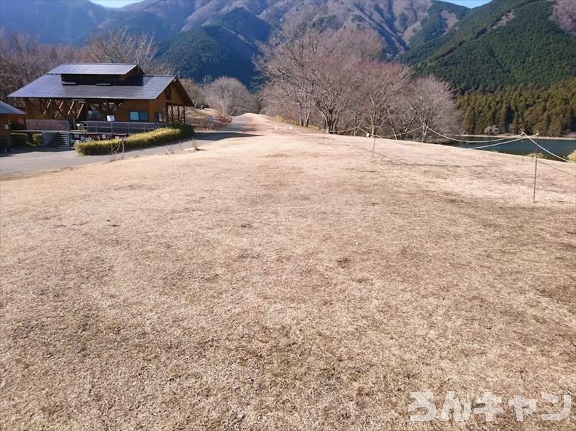 【冬の湖畔】田貫湖キャンプ場から見える絶景の富士山｜A・Bサイトの雰囲気をブログでご紹介