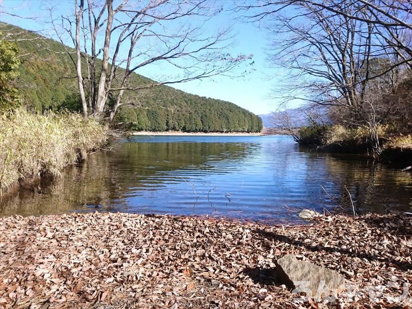 【冬の湖畔】田貫湖キャンプ場から見える絶景の富士山｜A・Bサイトの雰囲気をブログでご紹介