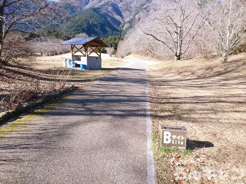 【冬の湖畔】田貫湖キャンプ場から見える絶景の富士山｜A・Bサイトの雰囲気をブログでご紹介