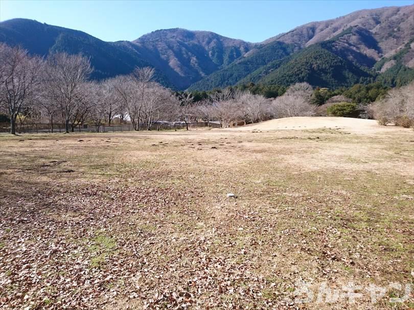 【冬の湖畔】田貫湖キャンプ場から見える絶景の富士山｜A・Bサイトの雰囲気をブログでご紹介