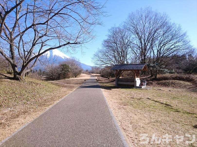 【冬の湖畔】田貫湖キャンプ場から見える絶景の富士山｜A・Bサイトの雰囲気をブログでご紹介