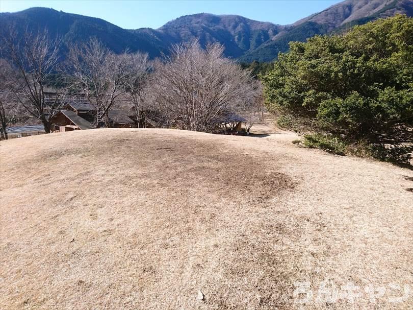 【冬の湖畔】田貫湖キャンプ場から見える絶景の富士山｜A・Bサイトの雰囲気をブログでご紹介