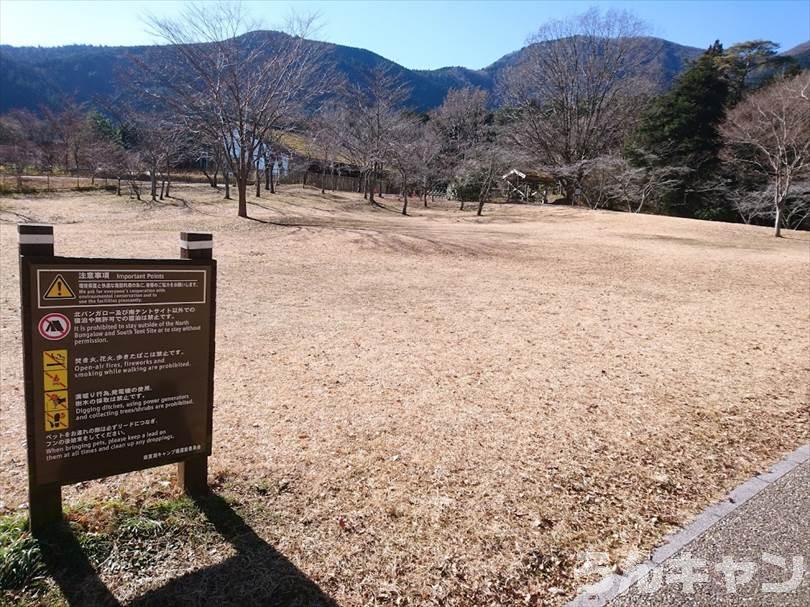 【冬の湖畔】田貫湖キャンプ場から見える絶景の富士山｜A・Bサイトの雰囲気をブログでご紹介