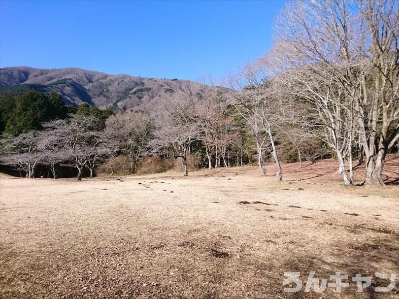 【冬の湖畔】田貫湖キャンプ場から見える絶景の富士山｜A・Bサイトの雰囲気をブログでご紹介