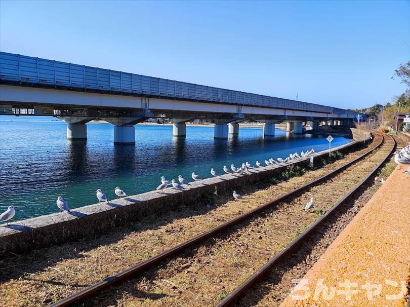 【ゆるキャン△聖地巡礼】浜名湖佐久米駅（5巻・27話）｜ユリカモメの群れがすごい！