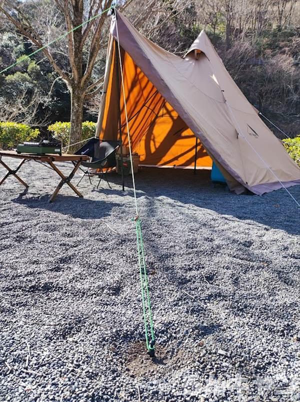 公式】 25cm 10本セット スチールペグ ペグ キャンプ テント風対策
