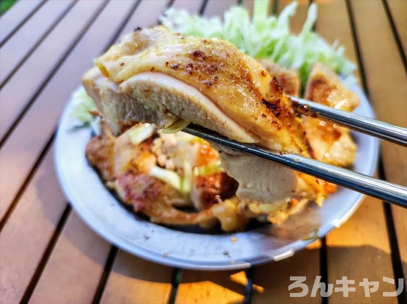 【簡単キャンプ飯】鶏肉（チキン）を使ったレシピまとめ｜美味しい料理で笑顔になる