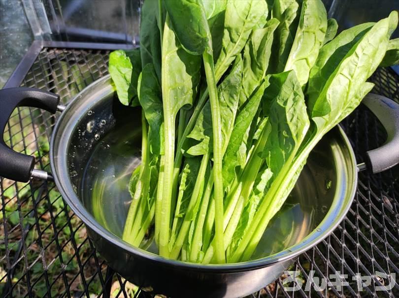 【簡単・絶品】キャンプにおすすめの野菜料理まとめ｜美味しい人気レシピをご紹介